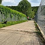 TOB (46).jpg